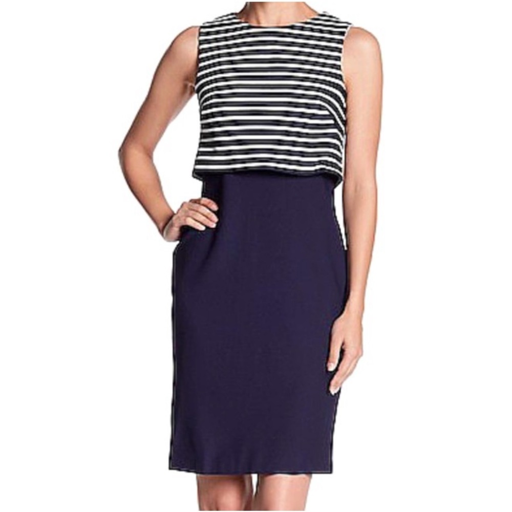 Eliza J Navy & White Striped Overlay Sheath Dress